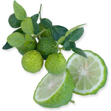 Combava ou citron Kaffir
