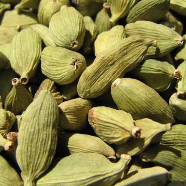 Cardamome
